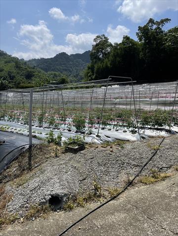 生產者圖片