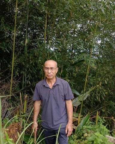 生產者圖片