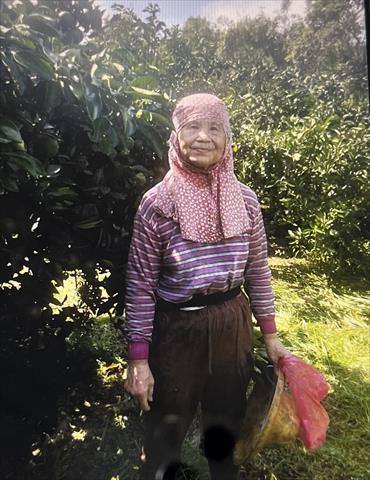 生產者圖片