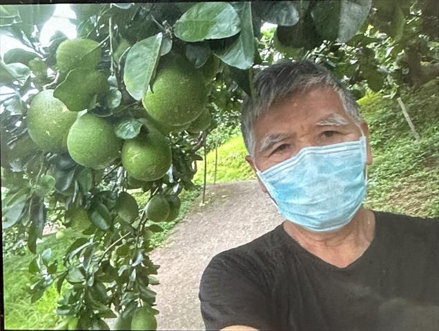 生產者圖片