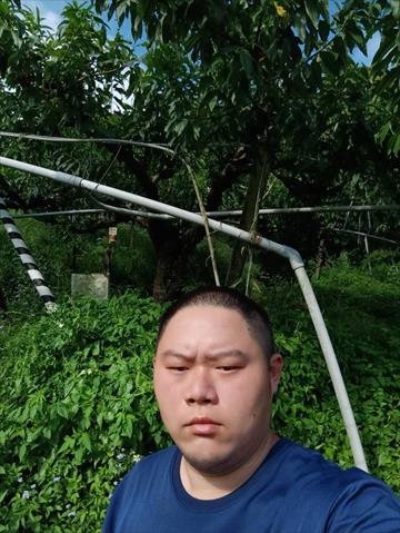 生產者圖片