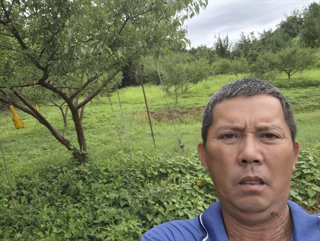 生產者圖片