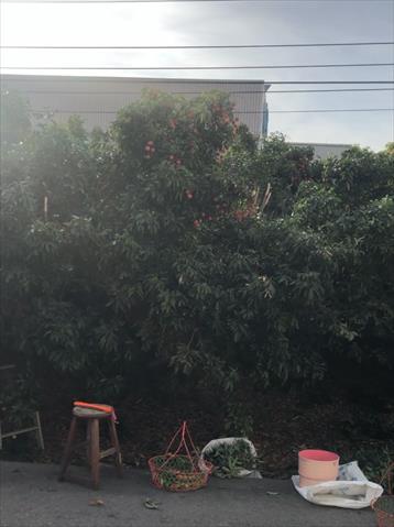 生產者圖片