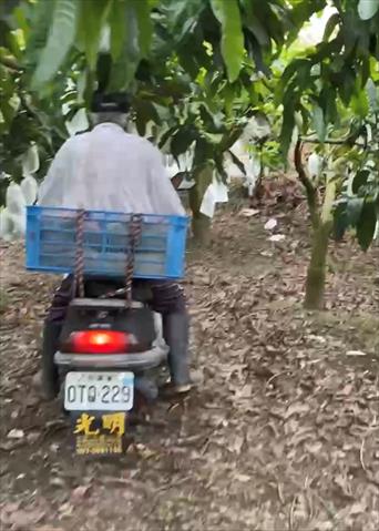 生產者圖片