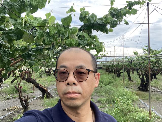 生產者圖片