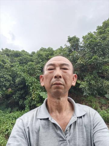 生產者圖片