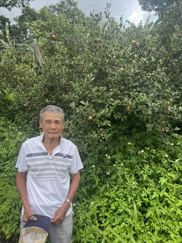 生產者圖片