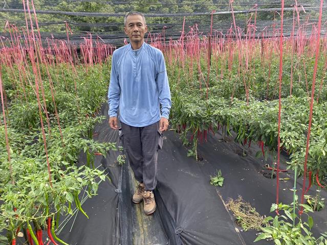 生產者圖片