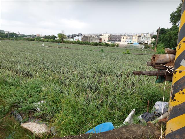 生產者圖片