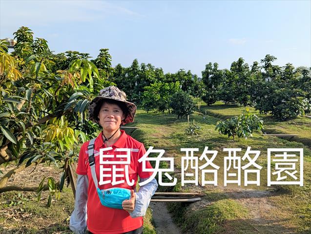 生產者圖片