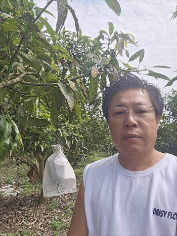 生產者圖片
