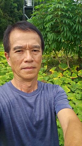 生產者圖片