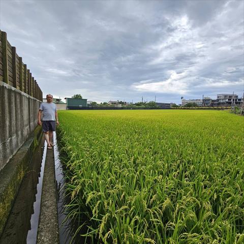 生產者圖片