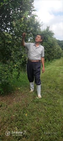 生產者圖片