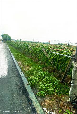 生產者圖片