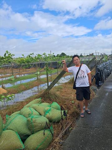 生產者圖片