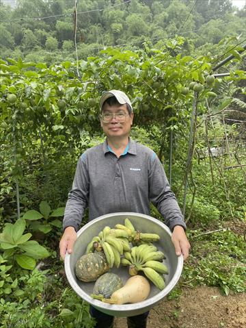 生產者圖片