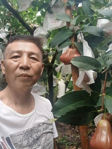 生產者圖片