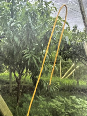 生產者圖片