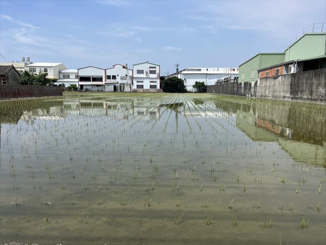 生產者圖片