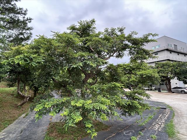 生產者圖片