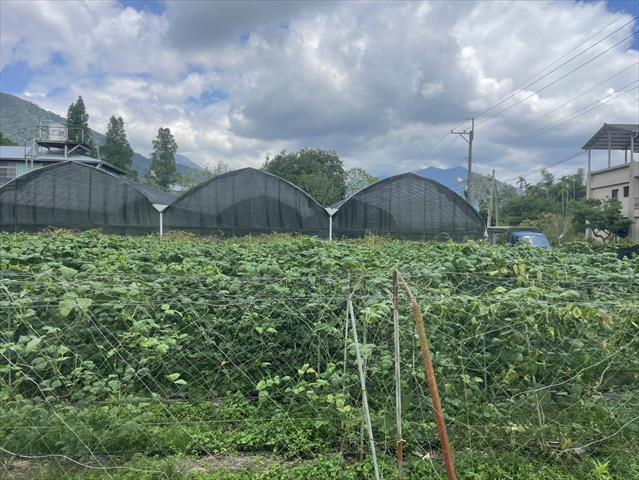 生產者圖片