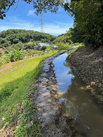 生產者圖片