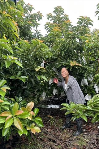 生產者圖片