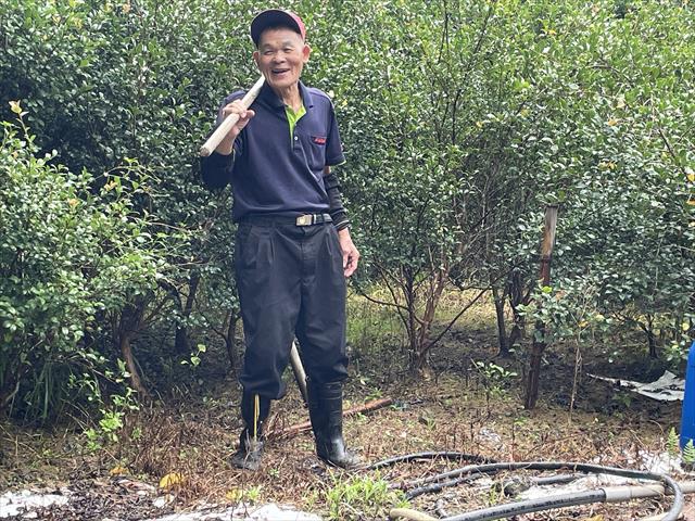生產者圖片