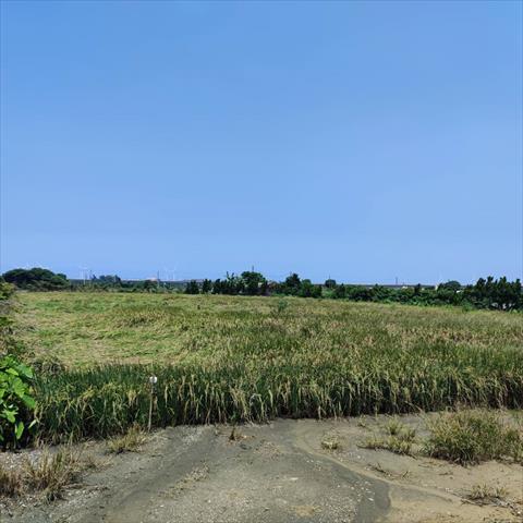 生產者圖片