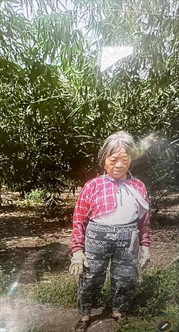 生產者圖片