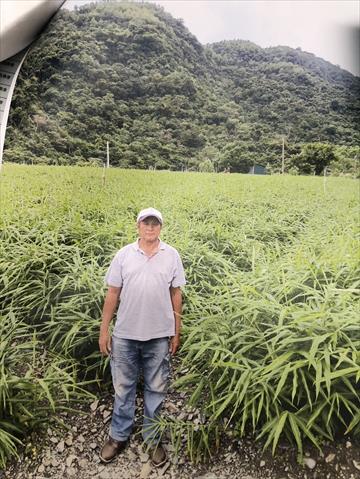 生產者圖片
