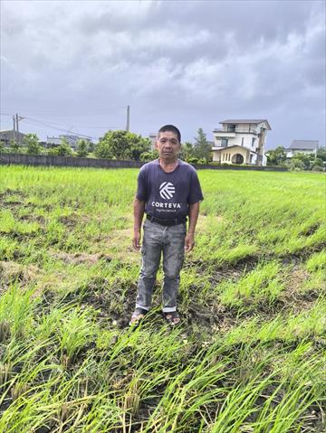 生產者圖片