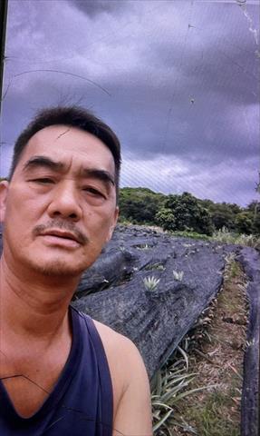 生產者圖片