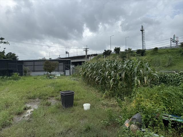 生產者圖片