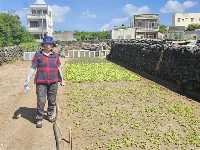 生產者圖片