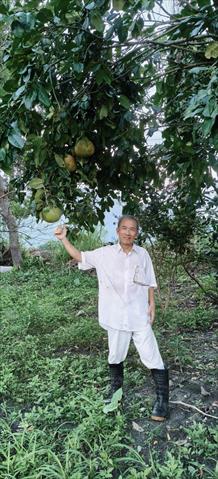 生產者圖片