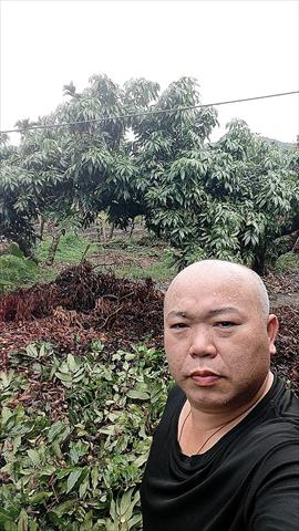 生產者圖片