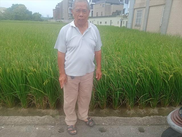 生產者圖片