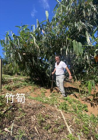 生產者圖片