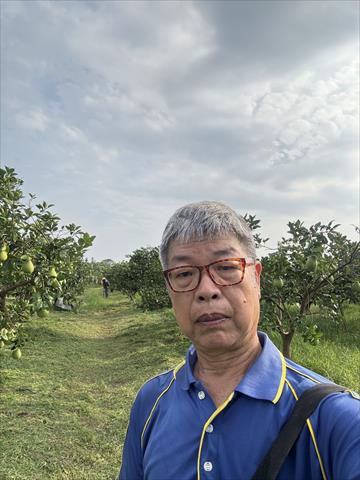 生產者圖片