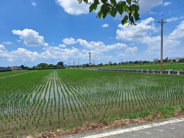 生產者圖片