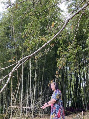 生產者圖片