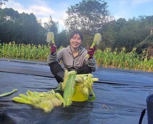生產者圖片