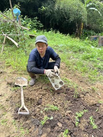 生產者圖片