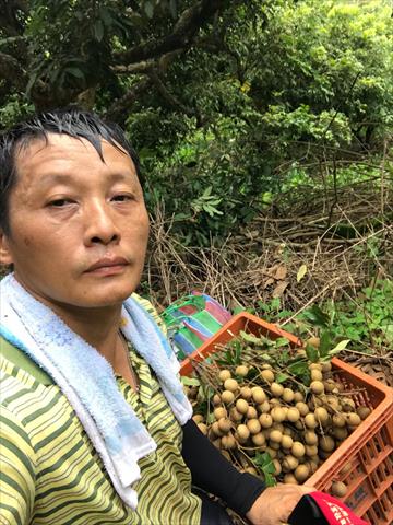 生產者圖片