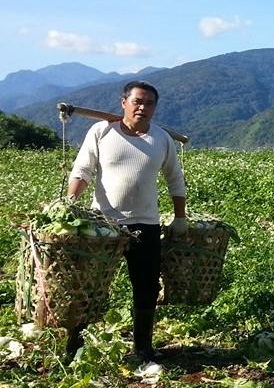 生產者圖片