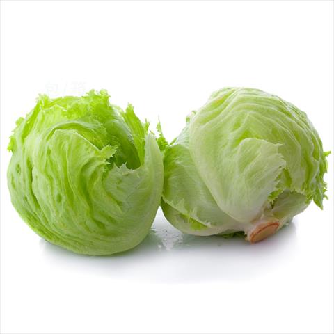 生產者圖片