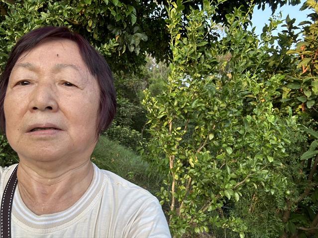 生產者圖片
