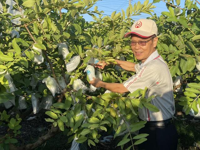 生產者圖片